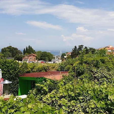 Simonov Zaliv Laguna 17 *