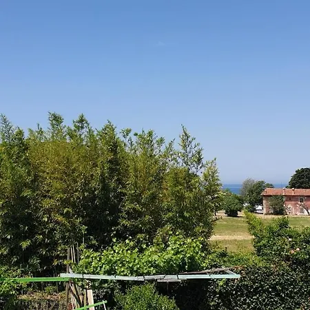 Simonov Zaliv Laguna 17