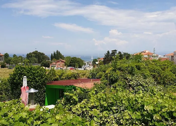 Simonov Zaliv Laguna 17 *