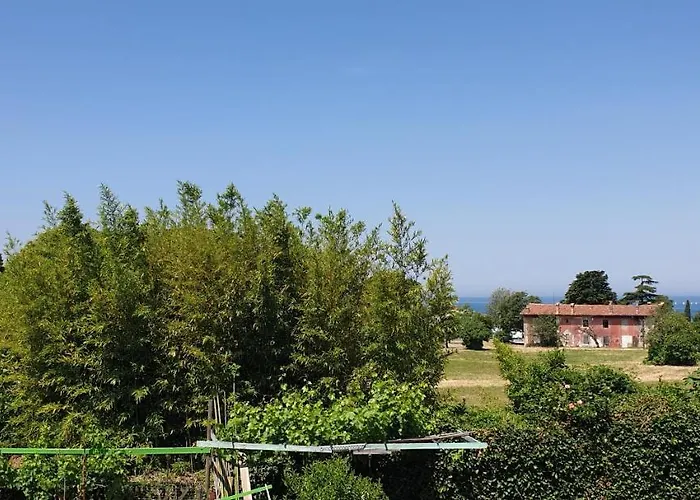 Simonov Zaliv Laguna 17